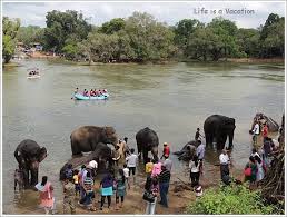 Bangalore Mysore Coorg Ooty Tour Package 8 Days