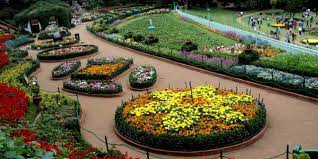 Bangalore Tirupati Mysore Ooty Kodaikanal