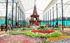 Bangalore Tirupati Mysore Ooty Kodaikanal Tour Package 9 Days