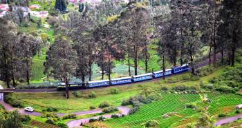 Bangalore Tirupati Mysore Ooty Kodaikanal Tour Package 9 Days