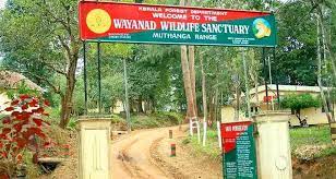 Mysore Wayanad Ooty Kodaikanal Tour Package 9 Days