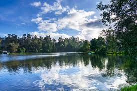 Mysore Wayanad Ooty Kodaikanal Tour Package 9 Days