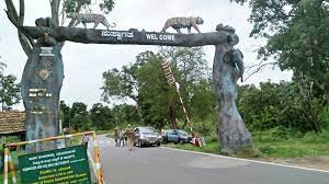 Tirupati Mysore Coorg Wayanad Ooty Kodaikanal Tour Package 11 Days