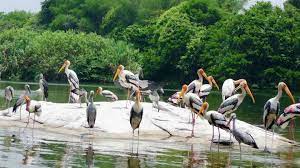 Kovallam Alleppey Tour Package 4 Days