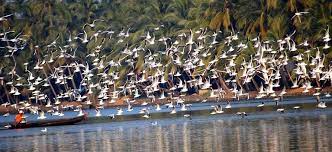 Munnar Thekkady Alleppey Tour Package 5 Days