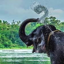 Cochin Munnar Thekkady Alleppey Kovalam Tour Package 8 Days