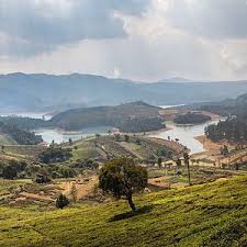 Cochin Munnar Thekkady Alleppey Tour Package 6 Days