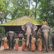 Munnar Alleppey Thekkady Madurai Rameswaram Kanyakumari Kovalam Tour 9 Days