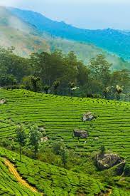 Munnar Alleppey Thekkady Madurai Rameswaram Kanyakumari Kovalam Tour 9 Days