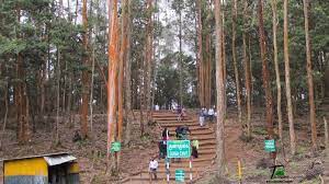 Ooty Kodaikanal Madurai Rameswaram Kanyakumari Tour 9 Days