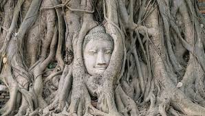 Varanasi Bodhgaya Allahabad Ayodhaya Tour Package 6 Days with Tamil Guide