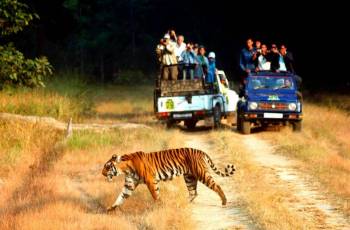 Nainital/ Corbett/ Ranikhet/ Kausani – 05 Night / 06 Days Tour