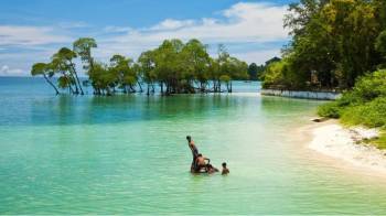 Baratang Island Tour Packages