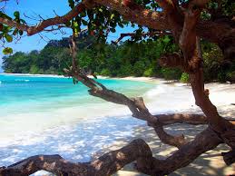 5 Nights / 6 Days Andaman Tour