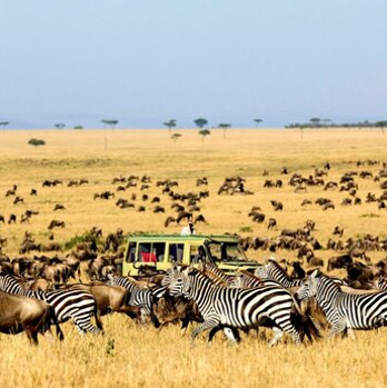 Kenya 5N - 6D Tour Package