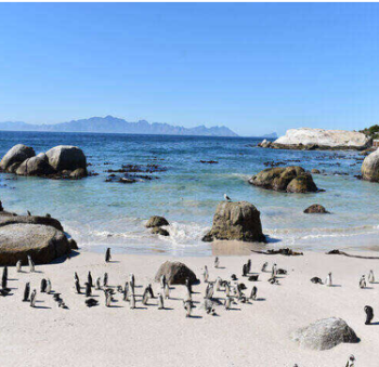 South Africa 5 Night Tour Package