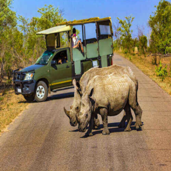 South Africa 9 Night Tour Package