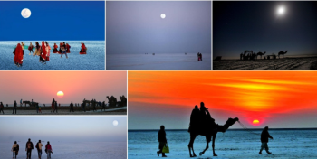 Ran Of Kutch 2 Night Tour Package