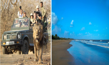 Simply Saurashtra Gujarat 7 Night Tour Package