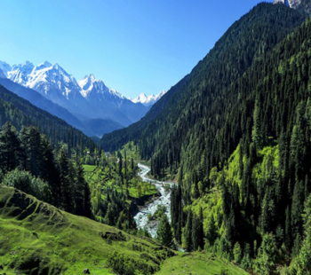 Srinagar - Gulmarg - Pahalgam 3 Night Tour Package
