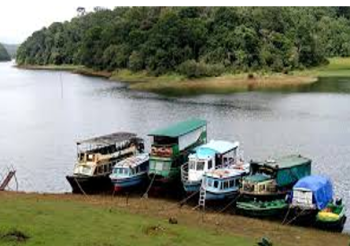 7N 8D Cochin - Munnar - Thekkady - Alleppey - Kovalam Tour