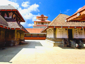 Ooty - Madumalai 3N Tour Package