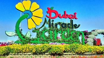 Dubai With Miracle Garden Tour
