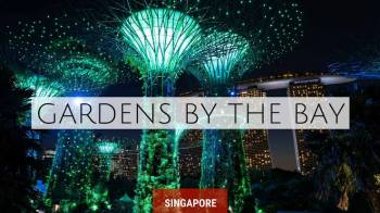 Ultimate Singapore Experience Tour