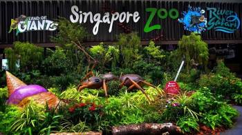 Ultimate Singapore Experience Tour