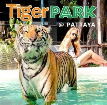 Mesmerising Pattaya Tour 4 days