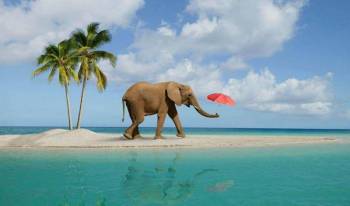 Port Blair and Havelock Island 3 star Package for 6 days