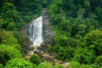 Thekkady Tour Packages