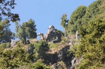 WONDERS OF GARHWAL II MUSSOORIE - 04 Nights/05 Days