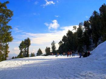 Shimla and Manali 3 Star Package For 06 Days
