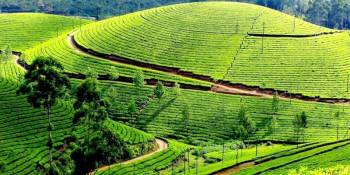 Ultimate Ooty Ex-Tirupati