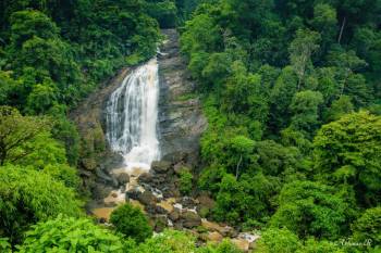 Munnar, Thekkady and Alleppey Deal Package for 5 Days