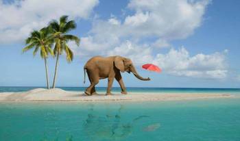 Port Blair and Havelock Island Premium Package for 5 days