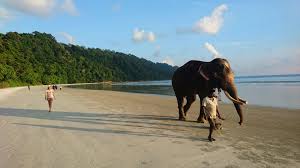 7 Nights and 8 Days Explore Andaman Tour Package
