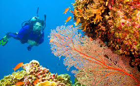 4 Nights and 5 Days Port Blair Tour Package