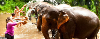 Bangalore - Mysore - Coorg Tour Package 4N/5D