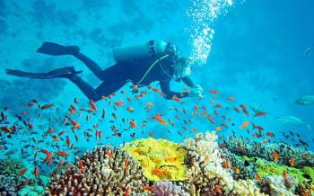 South,Middle & North Andaman Group Getaway- 7 Nights& 8 Days ( Free Scuba Voucher )