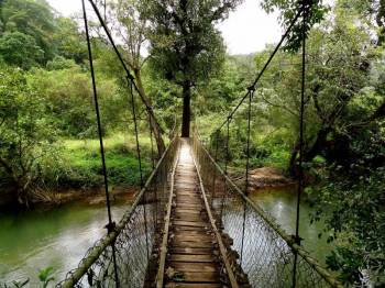 Coorg Tour