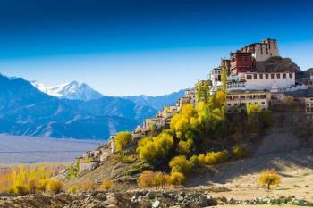 4Nights Leh Ladakh - Sham Valley And Pangong Lake - Green View Tour