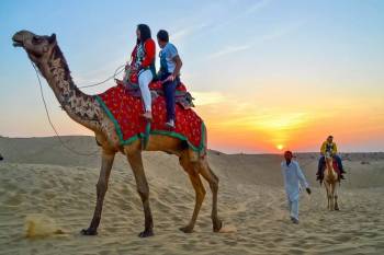 One Day Jaisalmer Sightseeing With Sam Sand Dunes Tour