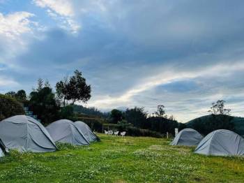 One Day Ooty - Jungle Camping And Adventure Tour