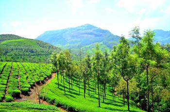 Kerala Premium Package 5Night - 6Days