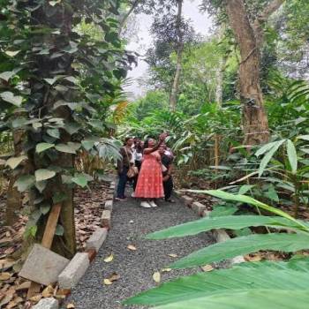 4 Nights /5 Days kerala Blending With Taj & Luxury  Hotels