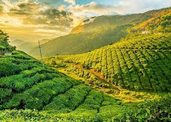 4 Nights /5 Days kerala Blending With Taj & Luxury  Hotels