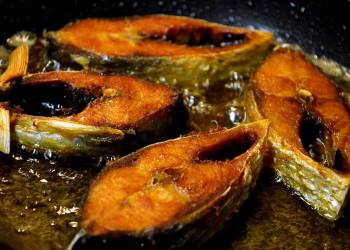 02 Nights & 03 Days Sunderbans Hilsa/ Fish Festival Trip