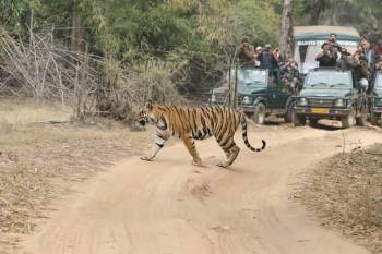 Madhya Pradesh Tour from Kolkata